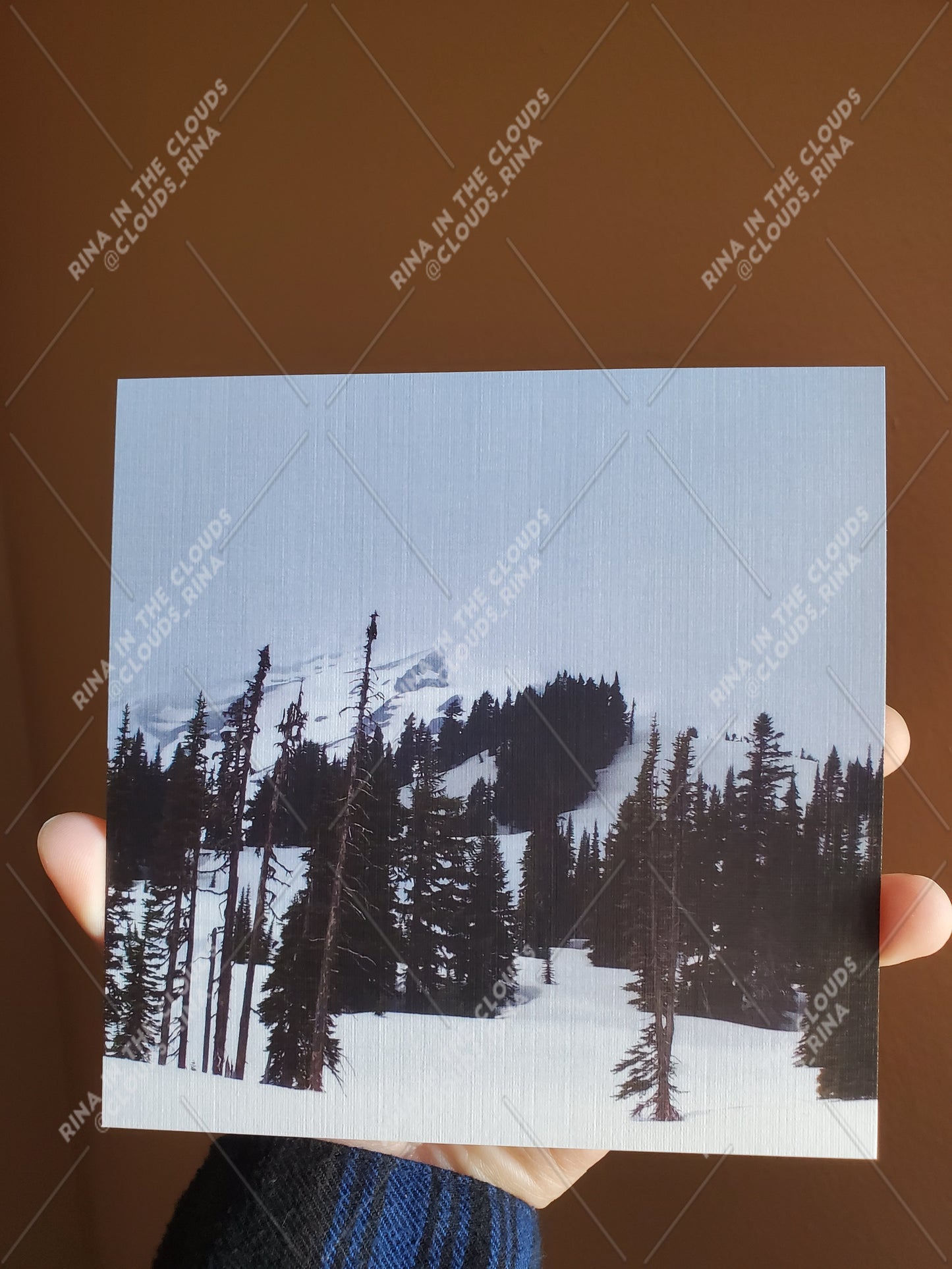 Snowy Mt. Rainier